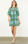 Danica Mint Pattern Dress