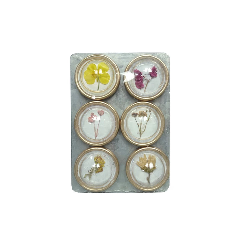 Botanical Magnet Set